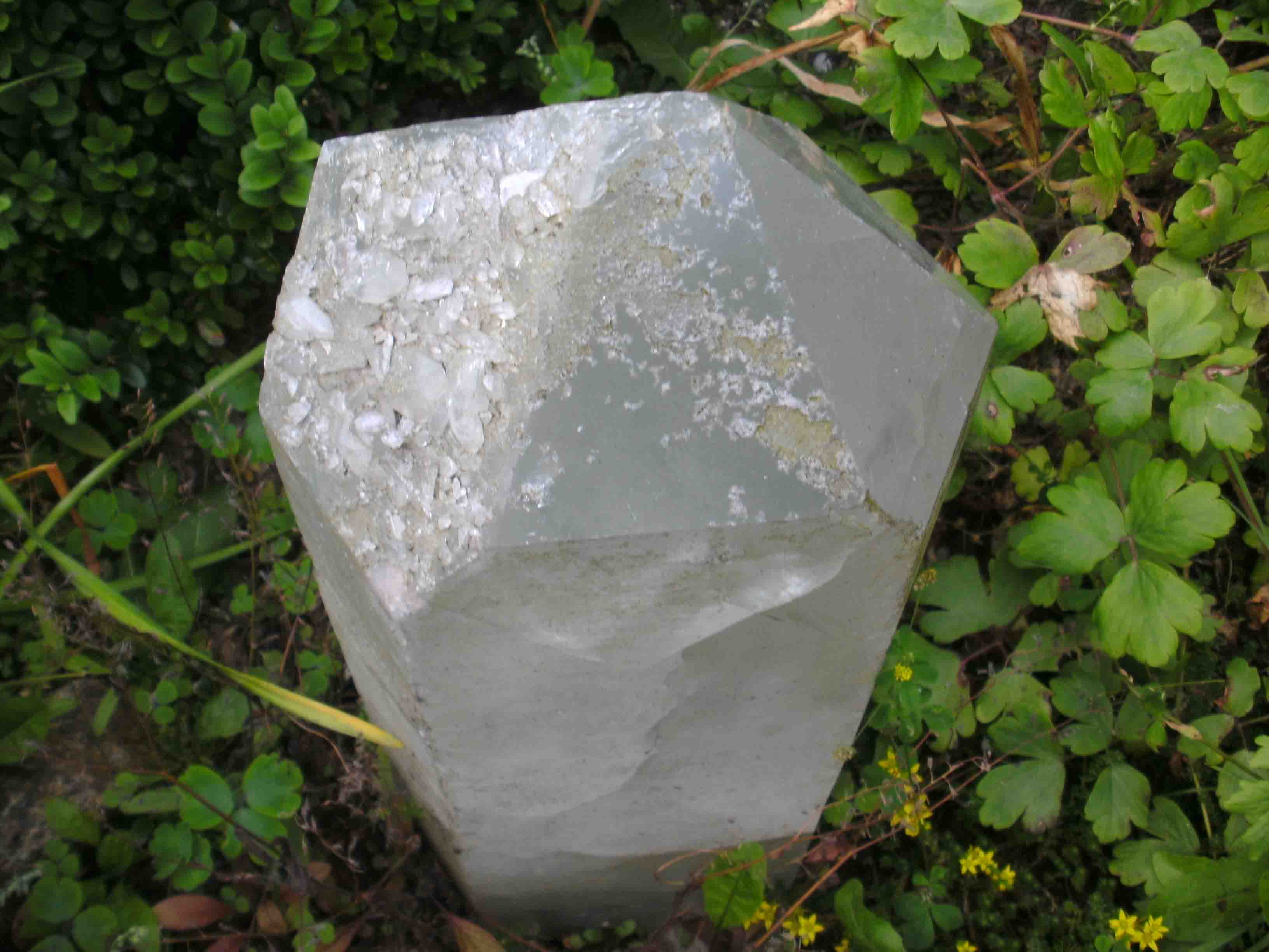 Arzt Hermeskeil - Homeopathie